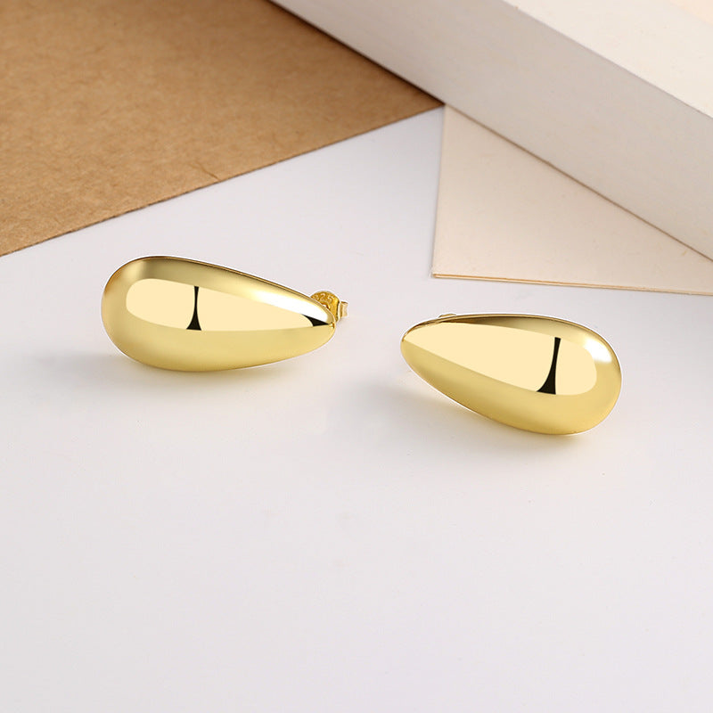 Water Drop Glossy Earrings
