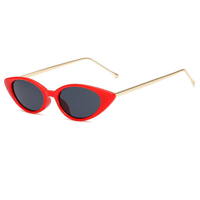 Sleek Sunglasses